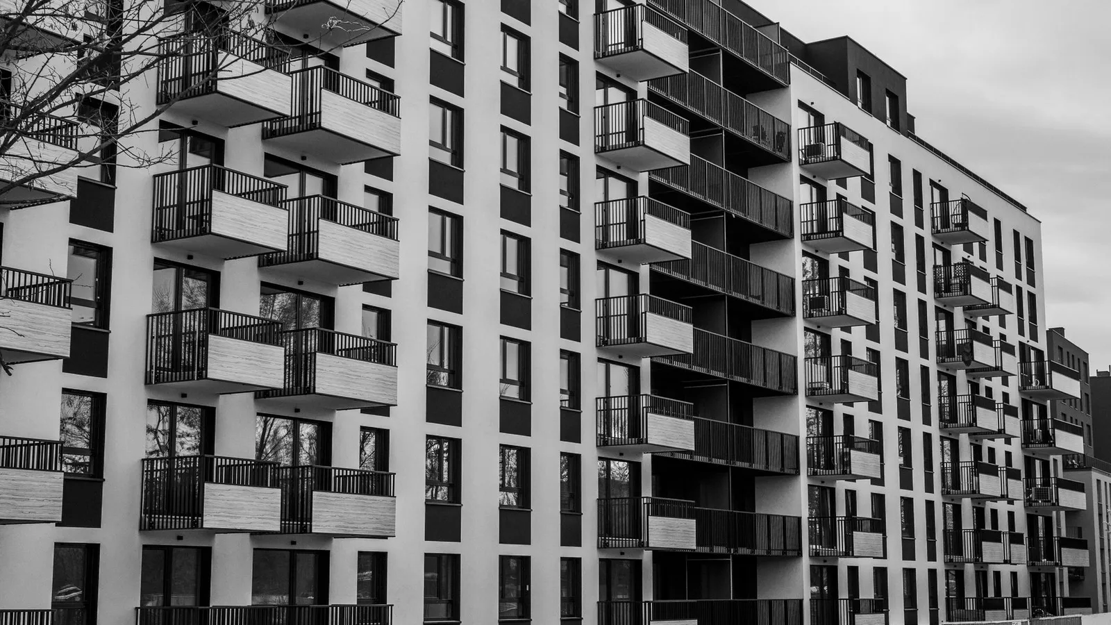 Actualidad del mercado inmobiliario sobre notarios compraventas grandes tenedores octubre 2026